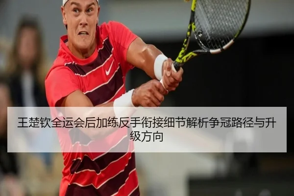 王楚钦全运会后加练反手衔接细节解析争冠路径与升级方向 | jingbaoboSPORTS